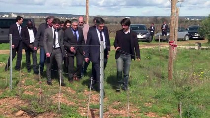 A Nîmes, Fillon tente de relancer sa campagne