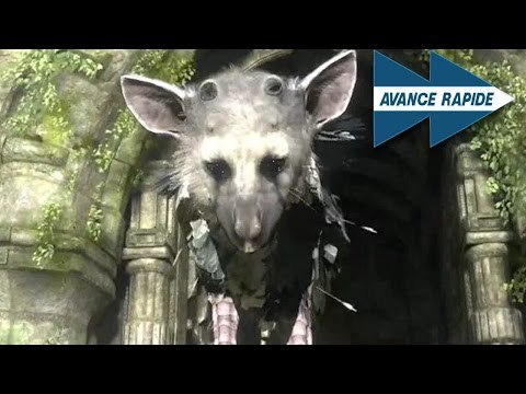 The Last Guardian : Nos attentes et rêves les plus fous