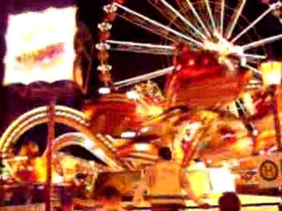 485. Eisleber Wiese 2006