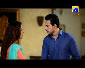 Bechari Mehrunnisa - Episode 68