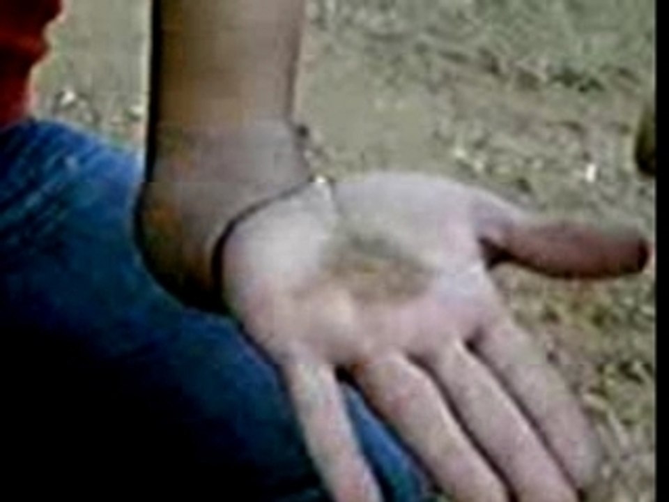 V03-14-07_15.25