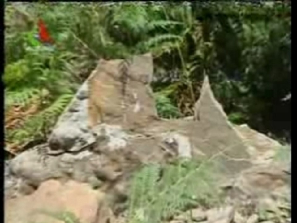 COLLO2007-08-1920-34-47CanalAlgérie - 1 von 2