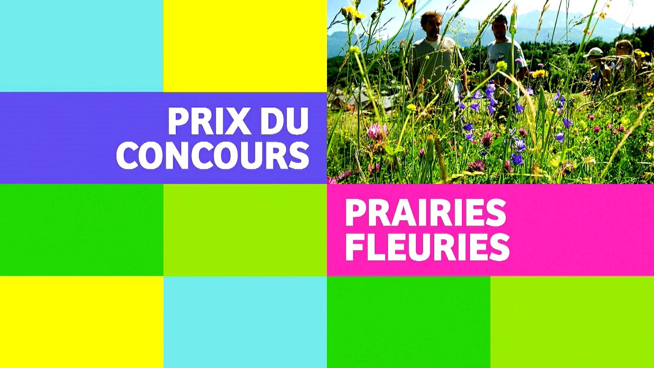 Stéphane Le Foll au concours des prairies fleuries