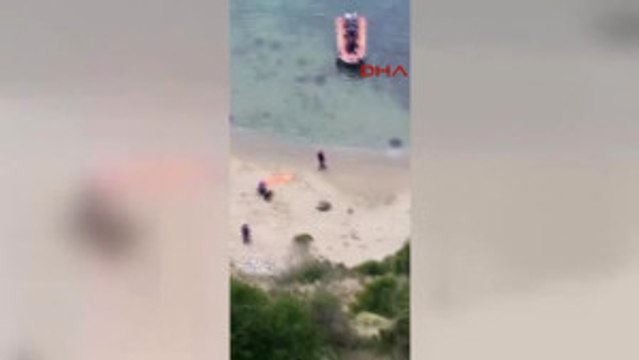 Bartın Kayalıklardan Düşen Köpek Sahil Güvenlik Botuyla Kurtarıldı