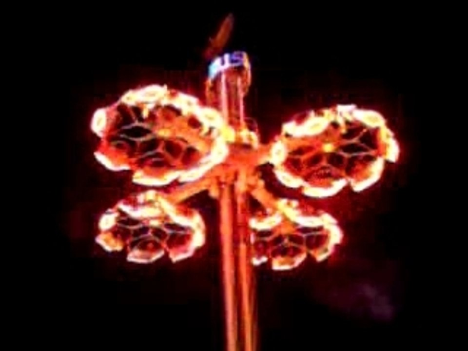 485. Eisleber Wiese 2006