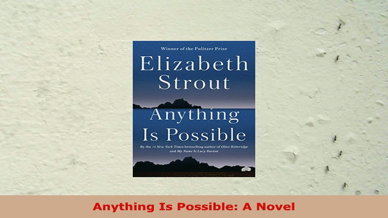 READ ONLINE  Anything Is Possible A Novel