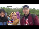Jembatan Cinta Wisata Hutan Mangrove di Kabupaten Pangandaran - NET12