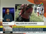 México: fuerzas federales participarán en operativo de Veracruz