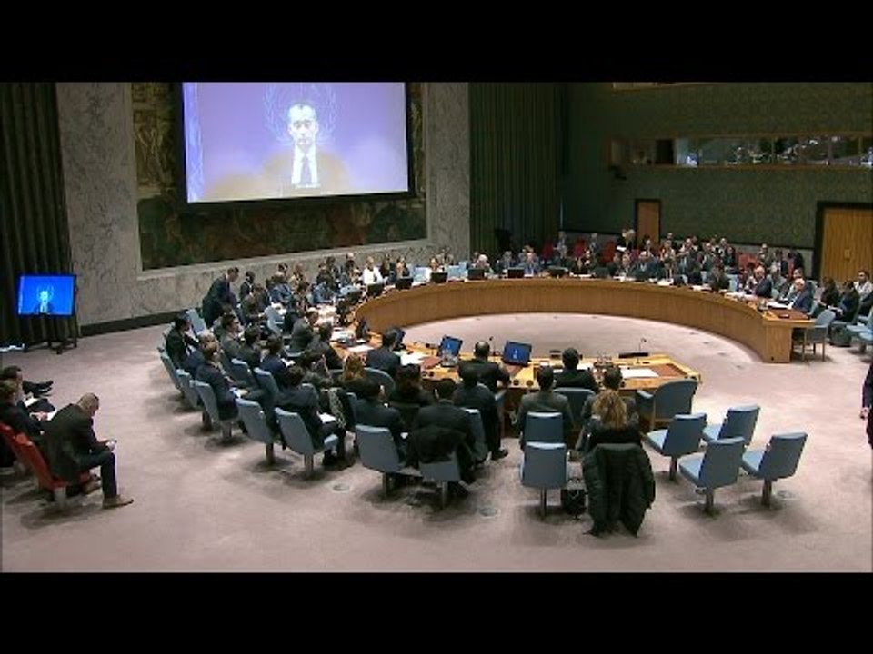 Resolution 2337 : la France pour le renforcement de la diplomatie