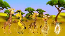 Жираф Палец Семья | Животных Finger Семья Потешки Для Детей | Лучшие Песни Анимация |