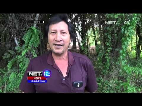 3 Semburan Lumpur Panas di Dekat Sumur Geothermal di Tomoho, Sulawesi Utara - NET12