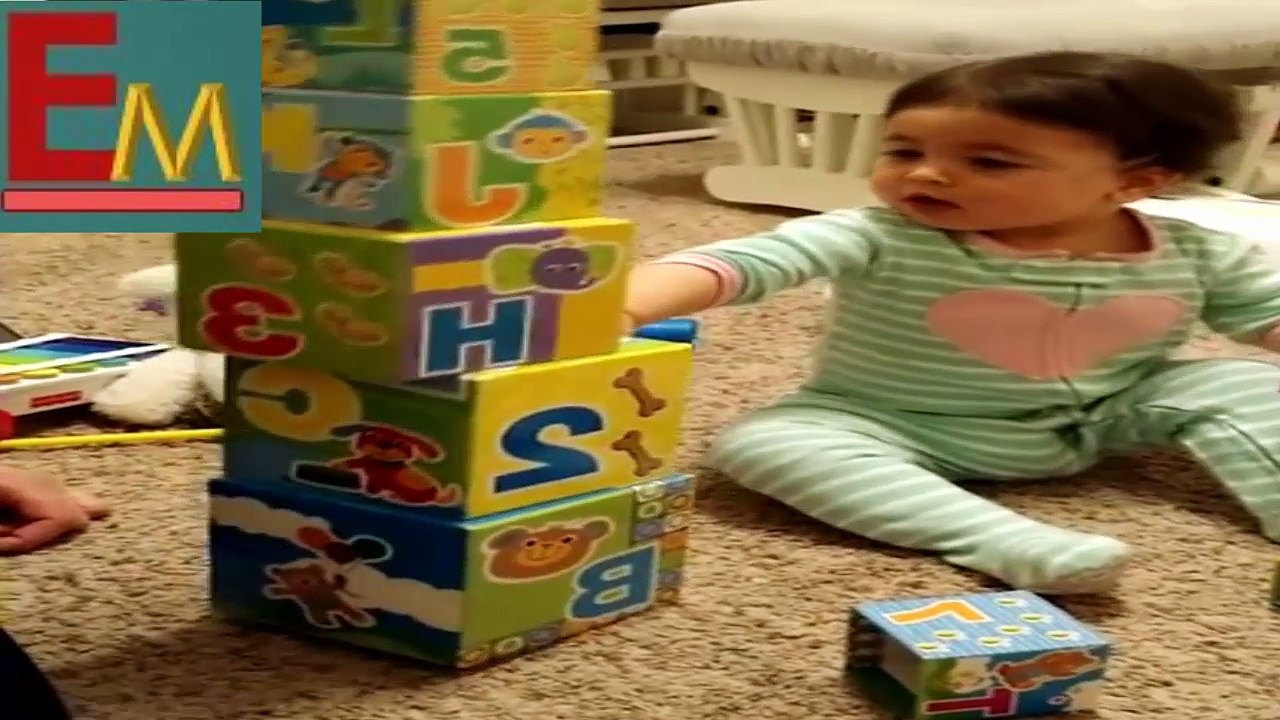 funny video