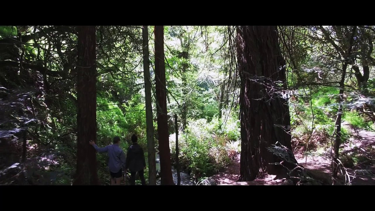 Relax in Marin County, California