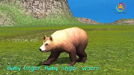 Animals ( Bear) Finger Family preschool Kids English 3d Song