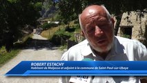 Hautes-Alpes : une réunion sur les patous organisée ce vendredi à Gap