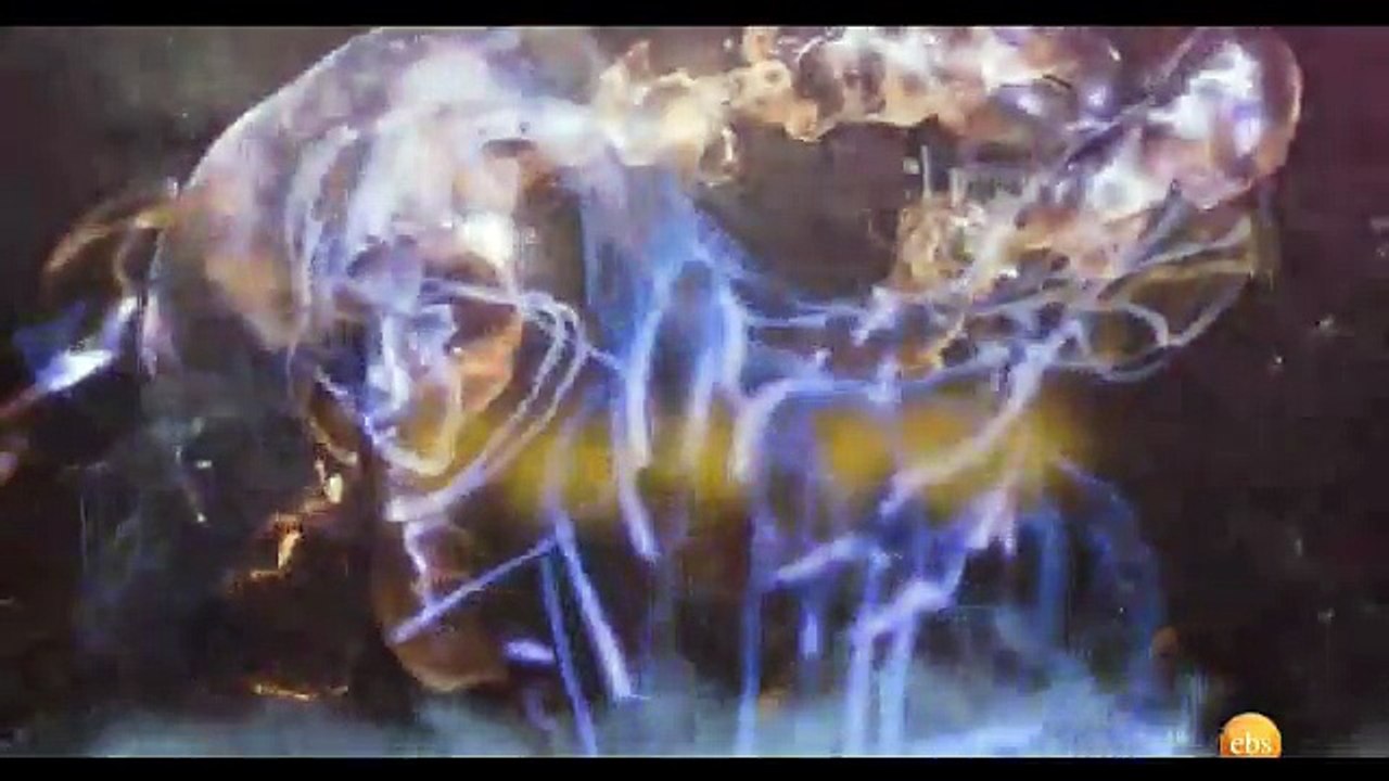 Walfan part 68 Ethiopian Drama By EBS