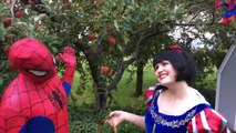 Супергерой Компиляции!! Полиция против замороженные elsa и Человек-Паук женился в тюрьме против яда