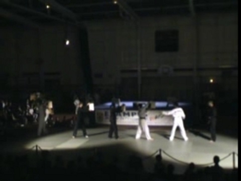 D3V-Team Taekwondo demonstration- Etampes part1_2