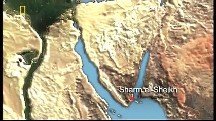 Flashair 737 - Uçak Kazası Raporu yükleme 2017