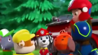 ᴴᴰ Animation Cartoon For Child 2016 ☀ In Urdu Pups Save a Friend Pups Save a Stowaway HD