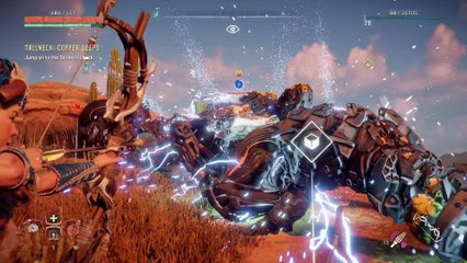 Horizon Zero Dawn™