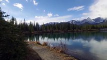 Beautiful alberta forgetmenot pond