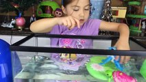 Little Live Pets Water Surprise Toys Giant Eggs Toy Surprises Lil Turtle & Lil Frog R