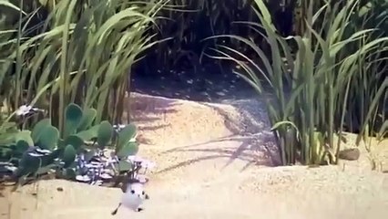 PIPER - Disney Pixar