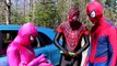 Человек-паук и розовый Человек-паук против Круэлла! ж/ замороженные elsa теряет ее волосы и Анна, Джокер и мужчина