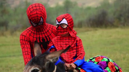 Spiderman vs Joker - Joker steals the donkey - Superhero real life movie