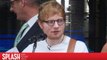 Ed Sheeran Hints About a New Taylor Swift Album in 2017