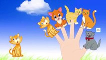 1 Hour Songs for Babies - Learning Colors with REAL CAT Balloons Finger Family for Kids CO