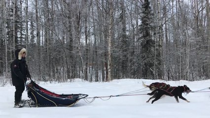 These Iditarod mushers can now use cellphones, but probably won't