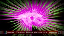✅ La Sainte Bible de Machaira 2016 - Luc 17 - LeVigilant.com