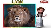 Lion Rhyme For Kids With Actions | Lion Rhyme With Actions | Action Songs For Kids | Animal Rhymes