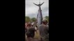 Monstrous 466-Kilo Blue Marlin Reeled in Just After Fishing Contest Closes