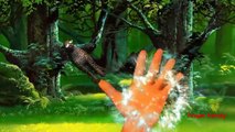 Cheetah Finger Family 3D animals animated English rhymes Collection