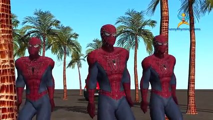 Spiderman Cartoon Dancing and Singing Color Song For Children And Finger Family Nursery Rh