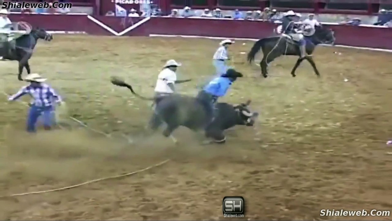 jaripeo fatalTRAJEDIAS FATALES Y CAIDAS LETALES EN EL MUNDO DEL JARIPEO LOS TOROS MAS SALVAJES ATACANDO JINETES