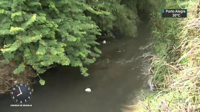 Câmera grava corpo sendo jogado em córrego na Grande São Paulo