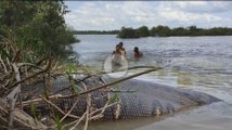 Amazing Children Catch Water Snake Using The Bamboo Net Trap - How to Catch Water Snake in Cambodia
