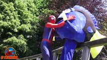 Spiderman FIND DORY! Dory Breaks Her Arm! Frozen Elsa, Minions, Finding Dory Superhero in