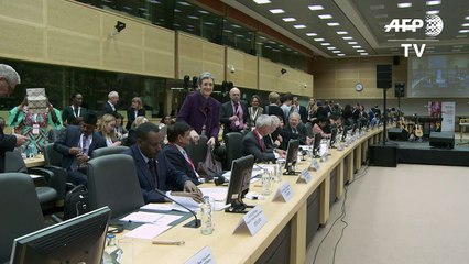 Quase US$ 190 milhões contra política anti-aborto de Trump