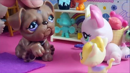 Minişler: Ranza Kavgası | LPSEM miniş