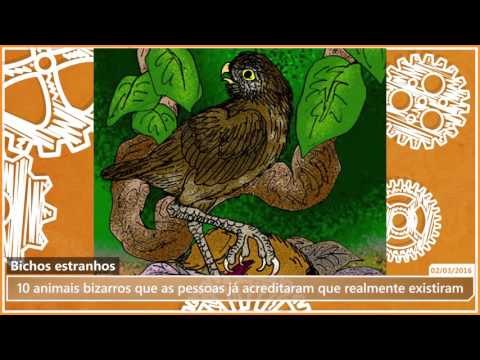 5 animais bizarros que as pessoas já acreditaram que realmente existiram