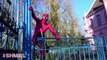 Rosa Spidergirl y Spiderman En el Amor! Propuesta de matrimonio Divertida Película de Superhéroes en la Real Lif