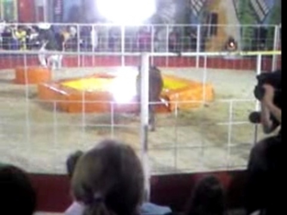 Intervilles international