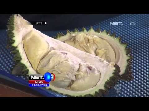 Kenikmatan Durian Petruk dan Kanjeng, Durian Lokal Andalan - NET12