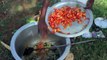 Amazing & Famous Delicious Village Chicken Biryani Recipe 2017