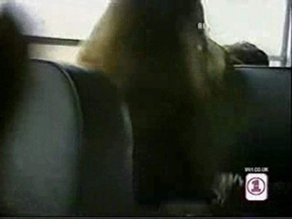 Lauryn Hill - VH1 Before They Were Rockstars